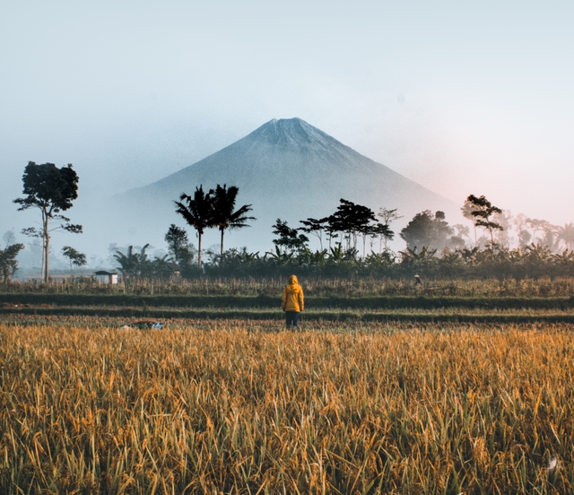 indonesia: more bali